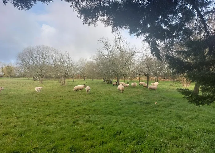 Le Pre De Bonhomme *